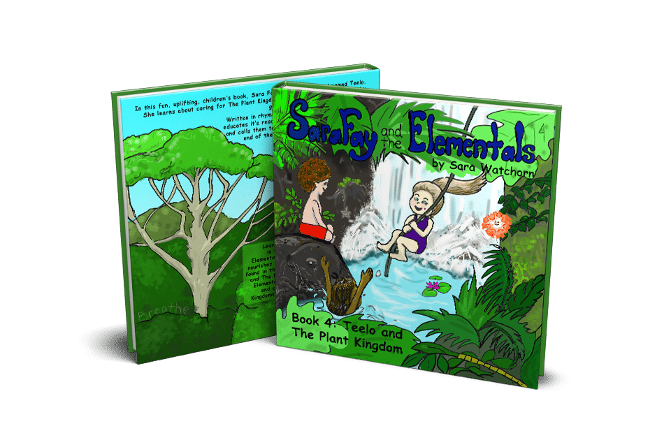 Sara Fay and the Elemntals book4