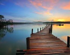 The Morning Routine That Will Make Your Business Successful The Morning Routine That Will Make Your Business Successful
