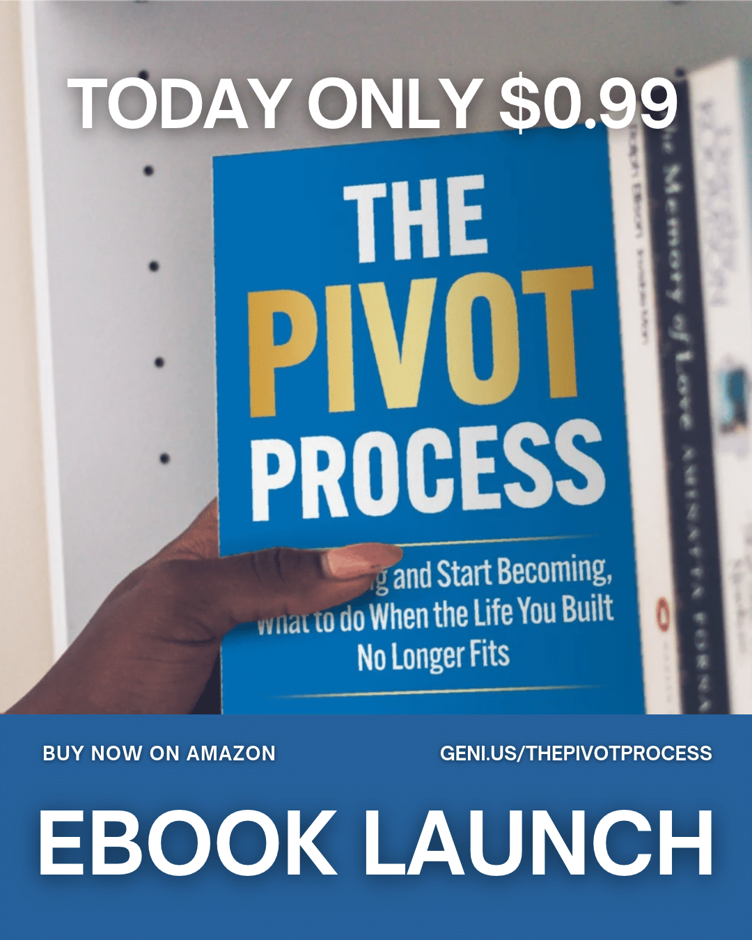 dawn nelson The pivot Process